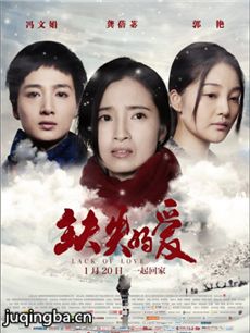 缺失的爱剧情介绍海报