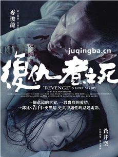 复仇者之死剧情介绍海报