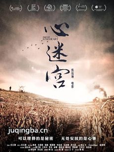电影心迷宫剧情介绍海报
