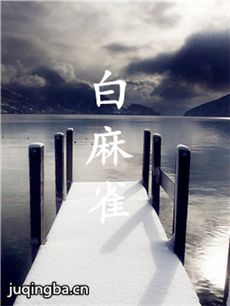 电影白麻雀剧情介绍海报