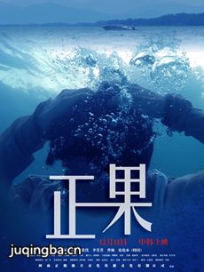 电影正果剧情介绍海报