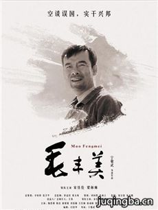 电影毛丰美剧情介绍海报