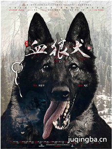 电影血狼犬剧情介绍海报