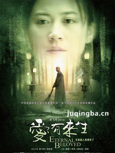 电影爱有来生剧情介绍海报