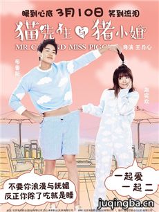 猫先生与猪小姐剧情介绍海报