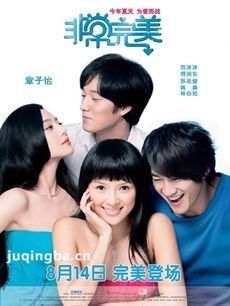 电影非常完美剧情介绍海报