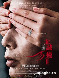 非诚勿扰2剧情介绍海报