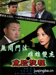 新警事之危险旅程剧情介绍(1-30全集)