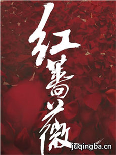红蔷薇剧情介绍(1-48全集)