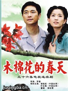 木棉花的春天主题曲