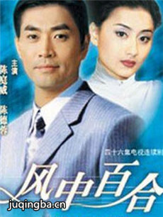 风中百合剧情介绍(1-46全集)