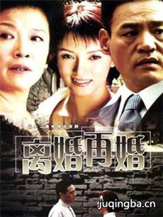 离婚再婚分集剧情介绍(1-20集)大结局
