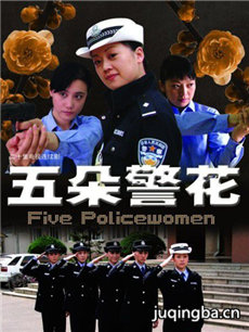 五朵警花剧情介绍(1-20全集)