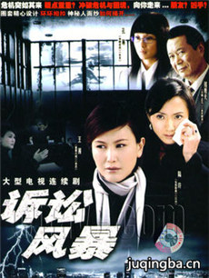 诉讼风暴剧情介绍(1-24全集)