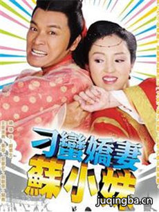 电视剧海报