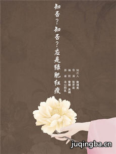 知否知否应是绿肥红瘦剧情介绍(1-70全集)