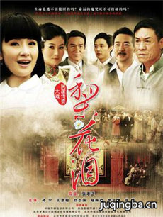 梨花泪剧情介绍(1-34全集)