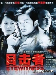 目击者剧情介绍(1-20全集)