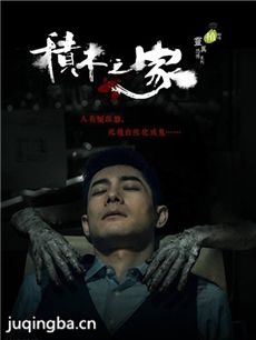 电视剧海报