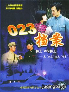 023档案剧情介绍(1-18全集)