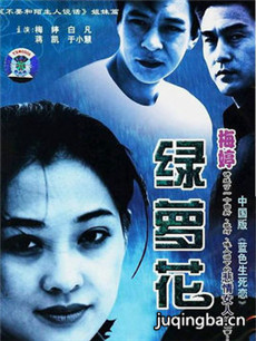 电视剧海报