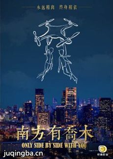 《南方有乔木》热播 秦海璐演绎霸气大佬