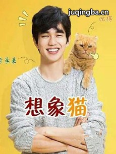 电视剧海报