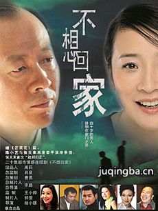 电视剧海报