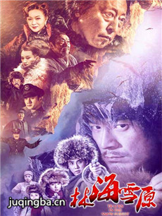 新版《林海雪原》剧情介绍(1-64全集)