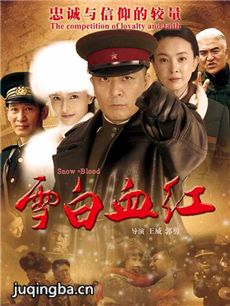 《雪白血红(于毅版)》剧情介绍(1-40全集)
