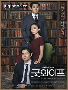 韩剧Good Wife剧情介绍(1-16全集)