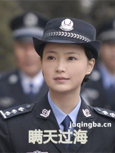 电视剧瞒天过海剧情介绍(1-20全集)
