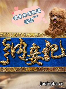 《纳妾记2》开播 雨婷儿变鬼马助手