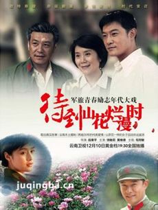 电视剧海报