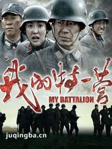 我的特一营剧情介绍(1-41全集)