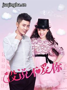 没说不爱你演员表