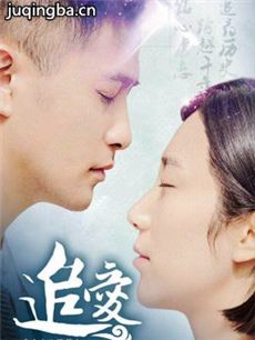 网络剧《追爱》剧情介绍(1-12全集)