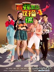 看我怎么收拾你剧情介绍(1-9全集)