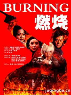 电视剧燃烧剧情介绍(1-34全集)