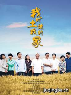 我的土地我的家剧情介绍(1-24全集)