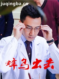 蜂鸟出击剧情介绍(1-40全集)