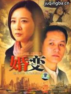 电视剧婚变剧情介绍(1-28全集)