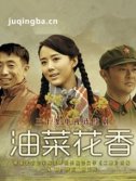 电视剧油菜花香剧情介绍(1-30全集)