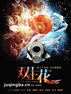 电视剧海报