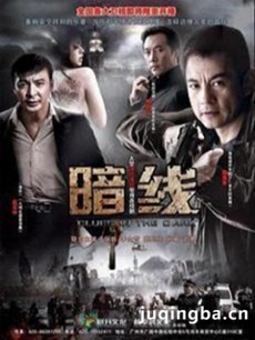 电视剧《暗线》剧情介绍(1-25全集)