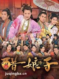 醋娘子剧情介绍(1-20全集)