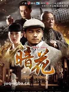 电视剧海报