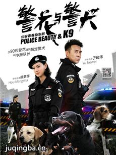 电视剧海报