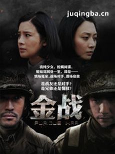 电视剧金战尖兵剧情介绍(1-36全集)