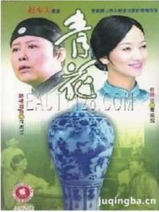 电视剧海报